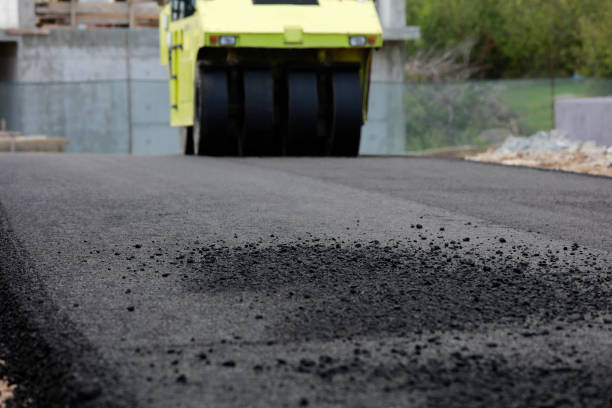 Best Driveway Pavers Contractor  in Mercedes, TX
