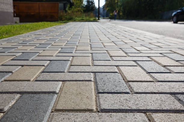 Best Driveway Paving Contractor  in Mercedes, TX