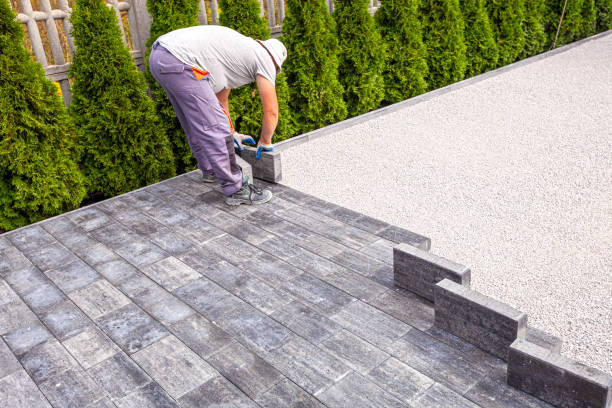Best Commercial Driveway Pavers  in Mercedes, TX